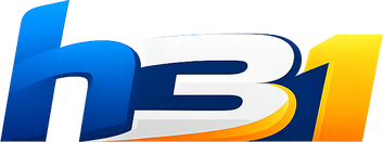 h31